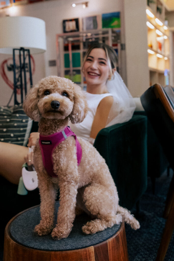 Bride in her wedding dress interacting with her puppy at the Arlo Hotel, capturing a playful and candid pre-wedding moment."

