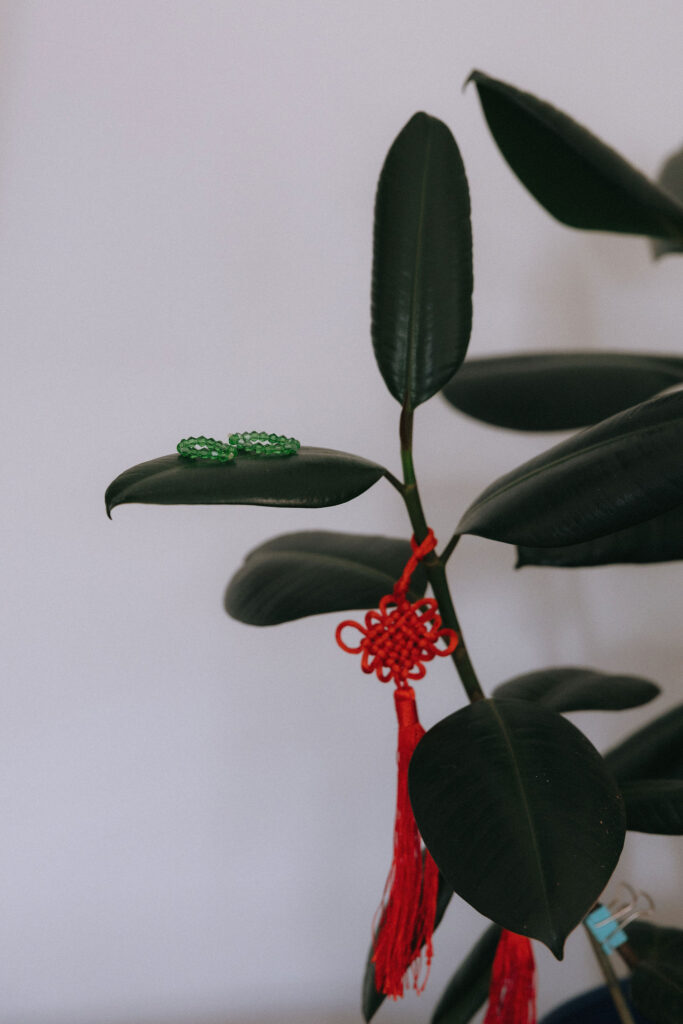 Close-up of a jade green bracelet delicately resting on the glossy leaf of a rubber plant, accompanied by a red Chinese knot ornament with tassels.