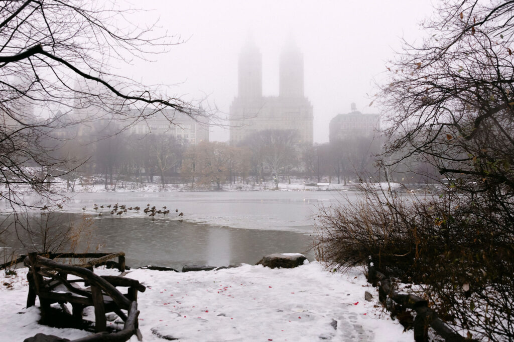 foggy winter morning in central park with snow on the ground and manhattan skyline in the background