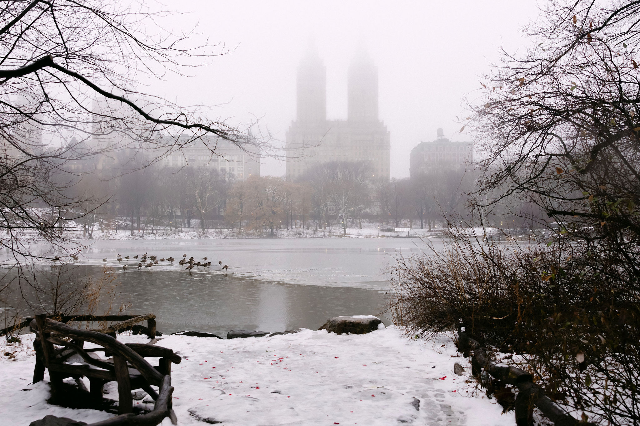 foggy winter morning in central park with snow on the ground and manhattan skyline in the background