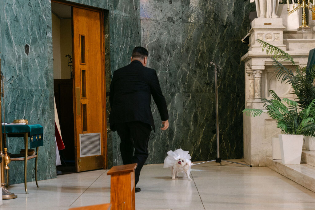 Groom walking down a SoHo street with the couple’s dog on a leash during wedding day